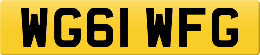 WG61WFG